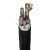丰凯源 国标WDZN-YJY低烟无卤阻燃耐火电缆 10*2.5 一米价