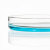 阿力牛 YSY-150 专业实验玻璃培养皿 细胞培养高透明玻璃培养皿 120mm(10个装) 