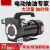 油抽子电动抽油泵12v24v220v柴油泵小型抽油机加油神器加油自吸泵 24V（正反转）加配件