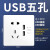 龙胜 轻奢开关插座面板家用86型usb五孔空调墙壁电源暗装E65N白色 USB五孔E65N-白色