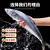 鲜渔翁青岛海捕冷冻大鲅鱼整条礼盒装超大似马鲛鱼海鲜水产生鲜鱼类 1.5kg 3条
