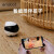 赋之（enabot） ebo SE机器人宠物监控移动摄像头家庭双向通话互动宠物远程智能机器人逗猫玩具 Ebo SE【标准款16G】