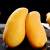 墨一海南金煌水仙芒果10斤新鲜热带水果应当季甜心黄大青芒果 10斤
