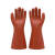 双安 绝缘手套 防触电耐磨电工带电作业用工业劳保防护 1级橡胶绝缘手套（10KV手型）