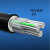 尚可 聚乙烯交联绝缘电力电缆 YJLV-0.6/1kV-3*10 黑色 10m