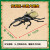 TAKARA TOMY多美卡安利亚侏罗纪世界关节可动恐龙玩具动物模型男女孩儿童礼物 210344-长戟大兜虫