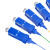 烽火（FiberHome）FH-SC12 电信级光纤跳线尾纤ODF单元体光纤机架网线配线 1.5米SC单模12芯束状尾纤