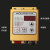 控制器SDVC20-S原装智能数字调压振动盘直线送料调速器 SDVC20-S标配+接近开关