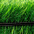 京工京选 草坪地毯假草塑料绿色户外铺垫子装饰 2.5cm【固定2米宽要几米长-拍多少件】