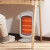 格力（GREE）小太阳取暖器家用办公室远红外电暖器速热防烫摇头节能暗光电暖气取暖炉 NSD-12-WG
