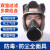 仁聚益防毒面具全面罩化工喷漆防农工业防尘打磨透气可接电动长管全脸 单独6800B面具