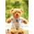 酷乐丁哈登詹姆斯款泰迪熊世界杯毛绒玩具公仔娃娃篮球迷你小熊玩偶 英国10号鲁尼 35cm坐高25cm小熊穿球衣