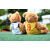 酷乐丁哈登詹姆斯款泰迪熊世界杯毛绒玩具公仔娃娃篮球迷你小熊玩偶 英国10号鲁尼 35cm坐高25cm小熊穿球衣
