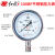 BLD 红旗仪表不锈钢压力表Y-100BF1mpa防腐耐高温全不锈钢 单位：个 0-1.6MPA