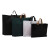 稳斯坦 WST1014 塑料包装袋（10个）商务礼品袋 服装购物袋PE手提袋 磨砂黑 45*35+8