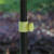 安路冠 户外遮阳伞 防晒防雨沙滩伞太阳伞庭院伞广告伞大型伸缩雨伞2.4m加厚布+加粗架48寸(不含底座)