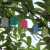 安赛瑞 PVC吊牌（1000张）彩色标签吊签牌花卉园艺塑料小挂牌防水标签园艺 绿色 6×4cm 530339
