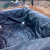 鱼塘防渗膜HDEP土工膜鱼池防水膜鱼塘专用膜黑色塑料防水布藕池膜 1米宽20米长 厚度20S