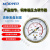 适用适用鸿业减压阀铜单级压力调节器标气氮气减压器Honyeo约巢 YQJ-L(1-10L/min)