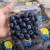 卉双正宗云南现摘高山蓝莓 当季时令浆果孕妇宝宝水果 超大果蓝莓王 超大果带盒125g*6盒 果径18-22mm
