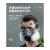 防毒防尘工业粉尘面具全面罩喷漆呼吸防护罩防烟全脸 双罐防尘毒7件套+全密封眼罩+20