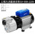 XD型旋片式真空泵大流量包装机抽空泵抽气泵消泡工业用真空泵 工程大流量真空泵SV-008-220V