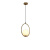 星期十 北欧风金色玻璃球小吊灯创意个性灯具款式九/30CM+暖光定制