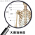 人体穴位图人体模型经络穴位模特图人体骨骼图大挂图器官示意图内 脑底动脉示意图 30寸50X75cm  相纸(厚/无胶)