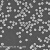 单分散聚苯乙烯磁性微球ps微米/纳米磁珠羧基化生物磁珠偶联 20毫升 5%固含量50mg/ml