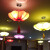 欧普灯纯庆新中式海洋布艺荷叶灯灯笼客厅餐厅酒店茶楼过道灯饰莲花吊灯 直径40三个组合装颜色备注