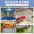 荣彩 纯色卷材地板幼儿园地板胶地板革加厚耐磨防水环保地胶板定制塑胶商用pvc地板贴