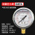 历修定制耐震压表力YTN60/25461.6MPA液油水防震气2.5 60耐震压力表0-6MPa(60公斤)(M14*1