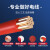 正泰（CHNT）电线电缆阻燃BVR4平方多芯多股铜线 家用铜芯软线 100米红色