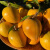 独爱（DUAR）糯香鸡蛋果子新鲜蛋黄果1-5斤海南特产当季水果孕妇热带应季整箱 3斤