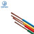 起帆（QIFAN）电缆 BVR-450/750-1*10平方国标单芯多股铜芯软线 双色1米【11米起售】