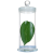 玻璃标本瓶加厚标本缸植物样品瓶展示瓶病理瓶福尔马林液浸泡瓶 75*150mm高硼硅约560ml