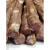 EOAGX七0农大哈尔滨红肠干肠儿童肠东北特产熟食猪肉烟熏蒜香即食包装 七0农大干肠500g纯猪肉