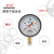 红旗牌仪表YTN-100/YN-100抗震压力表耐震压力表充油压力表真空表 0~0.4MPa
