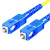 冰禹 BYjq-168 SC-SC单模光纤跳线sc尾纤跳线网络线电信级 单模SC/UPC-SC/UPC 1米/条