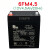 万利达音响电池12V4.5Ah6FM4.5原装Y6电瓶M+9017AB拉杆音箱M+9001 天能高品质12v4.5ah+普通充电器