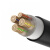 国标 yjv 10 16 25 35 平方 2 3 4 5 芯铜线动力电缆线铜芯抗老化 国标 (十米) 2芯16平方