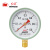 红旗（HONGQI）Y-100红旗普通压力表径向安装0-0.6mpa水压油压气压表螺纹M20*1.5	