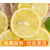 镜花汐四川安岳黄柠檬10斤新鲜水果精选皮薄特产香水鲜甜柠檬青整箱 500g 70-100g