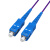 胜为 SC-SC单模单芯3米 电信级铠装光纤跳线 抗压防鼠咬室内抗拉尾纤缆FSCK-1030