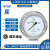上海仪川轴向带边耐震压力表YN100ZT面板安装YN60ZT气压油压法兰 YN60ZT 0-0.1MPa