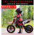 姿度儿童摩托车燃油KTM小型机车男童5-12岁小孩49cc迷你汽油山地摩托 标配旗舰版 混合油 手拉启动