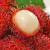 红兴心泰国进口红毛丹水果新鲜 毛荔枝孕妇应季热带水果多汁肉厚 红毛丹 2斤 特级大果
