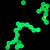 红色/绿色/黄色/蓝色二氧化硅荧光微球稀土铕时间分辨荧光微球 20毫升 2.5%固含量25mg/ml