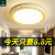 润华年广东中山灯具大全2024款客厅卧室LED吸顶灯圆形走廊灯现代简约 圆-26cm-白光