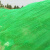 伏旺 盖土网绿化网 建筑工地防尘网绿化遮阳盖沙网盖煤网可定制 绿色6针8x40米